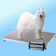  һǮӵԵĳس